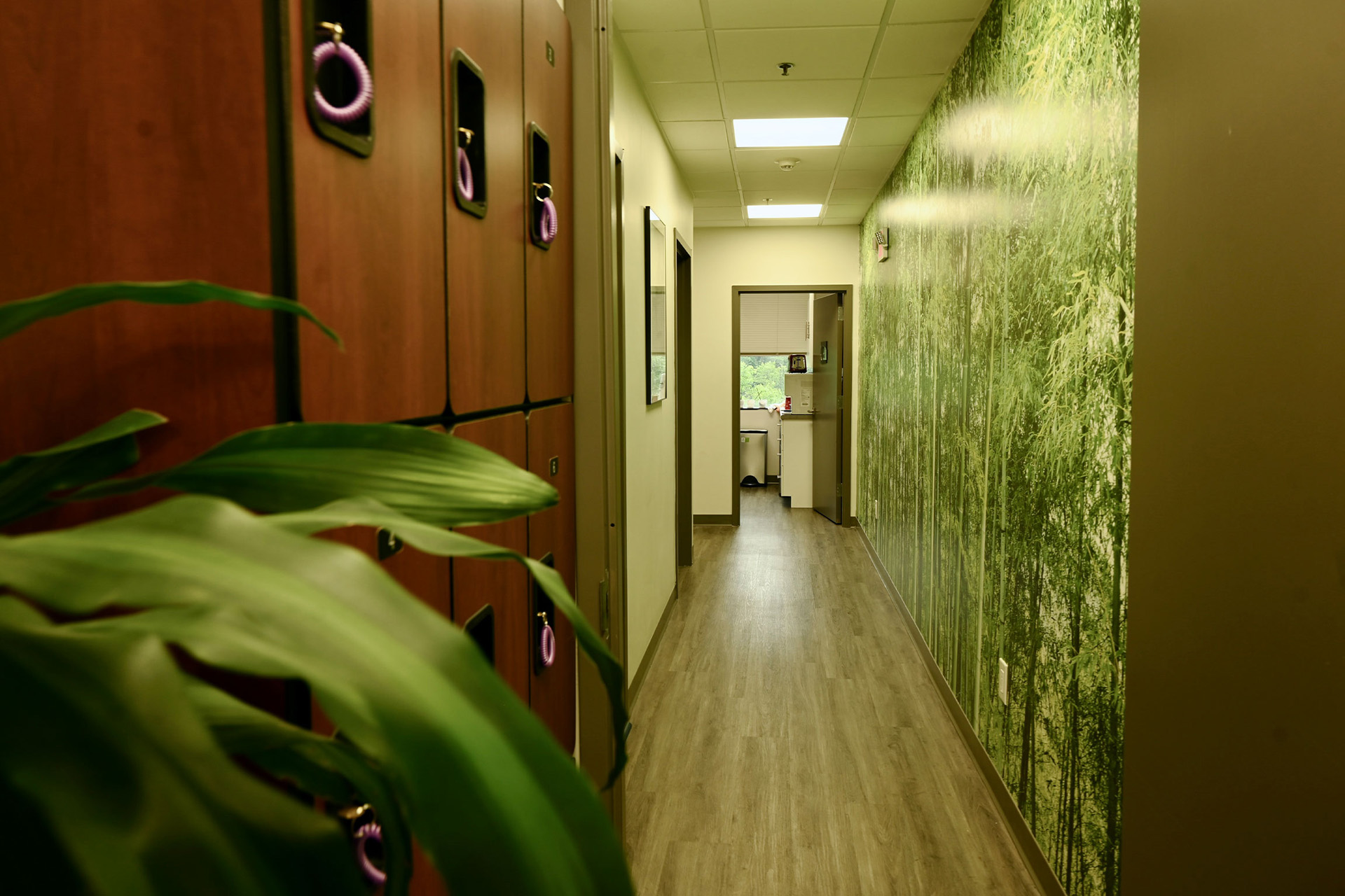 The image shows an interior hallway with a vibrant green wallpaper featuring bamboo leaves, a long corridor leading to a room on the right with a door partially visible, a wooden floor, and a potted plant in the foreground.